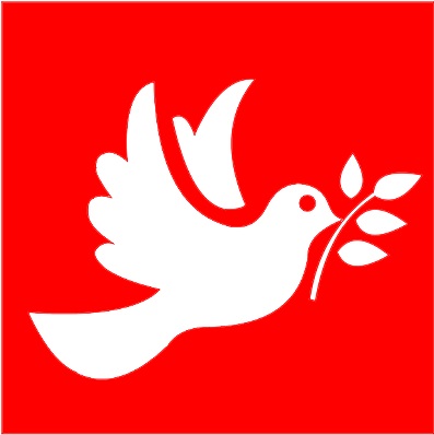 Intervista a E.Como: No alla guerra sì ai&nbsp;diritti